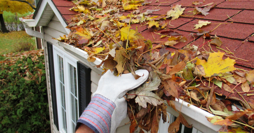 10 Essential Tips to Prepare Your Home for Fall